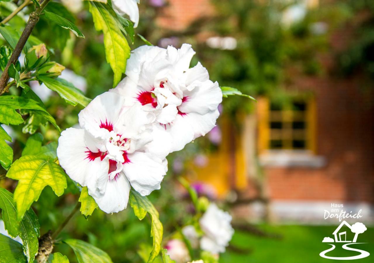 Dänschendorf Haus Am Dorfteich Fehmarn 아파트 외부 사진