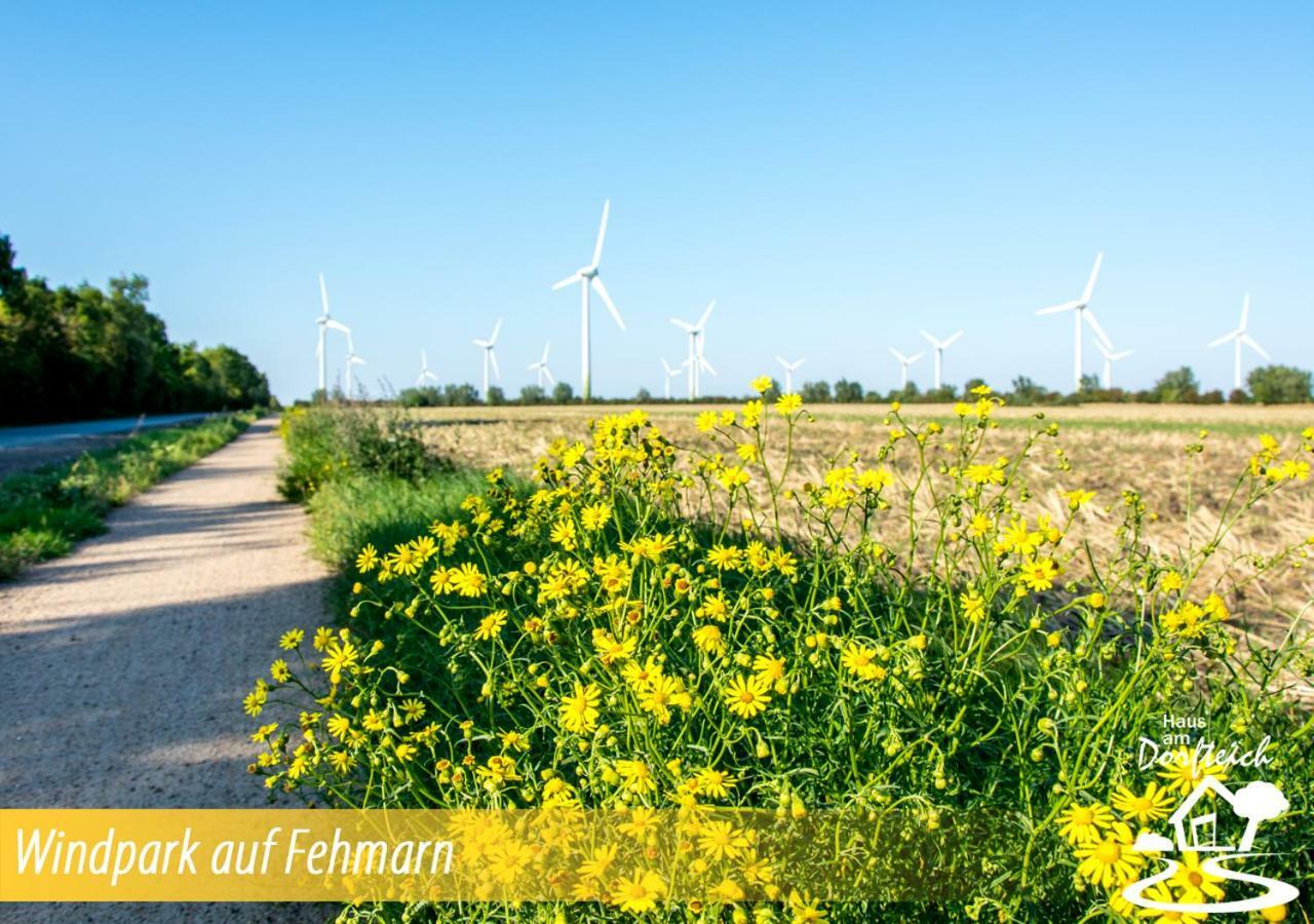 Dänschendorf Haus Am Dorfteich Fehmarn 아파트 외부 사진