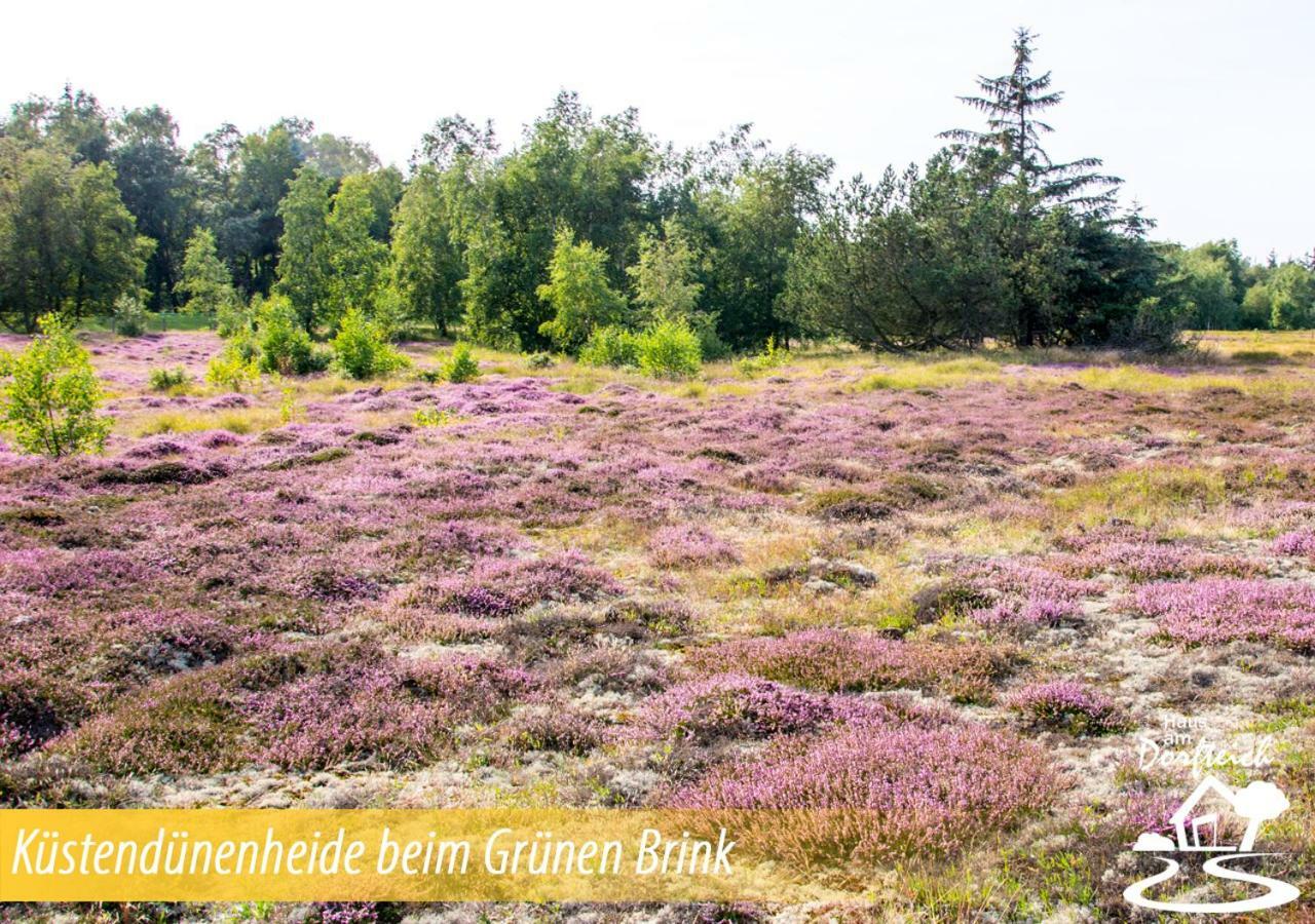 Dänschendorf Haus Am Dorfteich Fehmarn 아파트 외부 사진